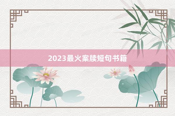 2023最火案牍短句书籍