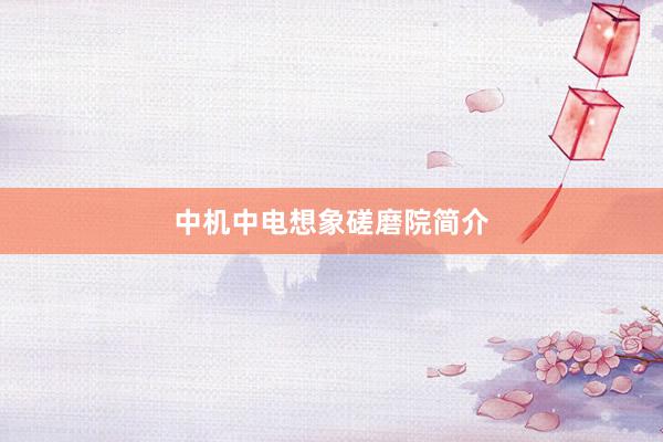 中机中电想象磋磨院简介