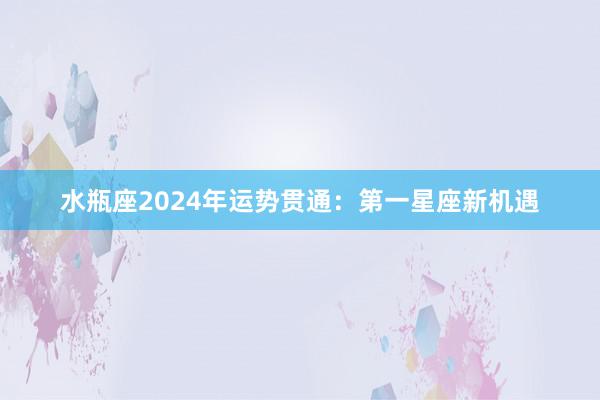 水瓶座2024年运势贯通：第一星座新机遇