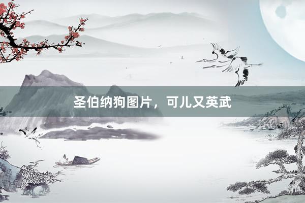 圣伯纳狗图片,可儿又英武